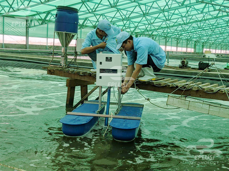 547464898_1358563889612154_8524372107470578253_n