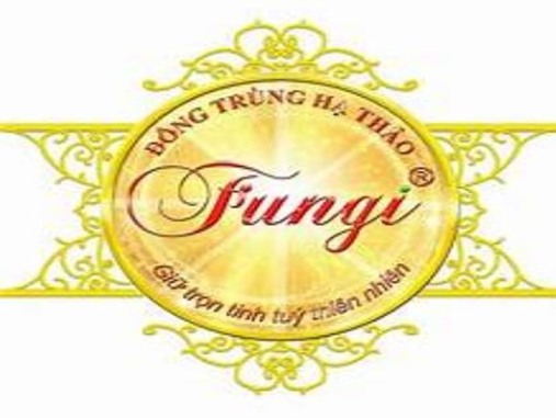 Công ty Cổ phần Dược thảo Fungi